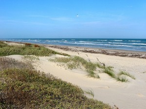 North Padre Island National Seashore PINS