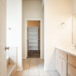 Owner's Bath area. Walk-in closet.