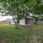 Back yard