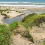 Nature Tourism in the Coastal Bend