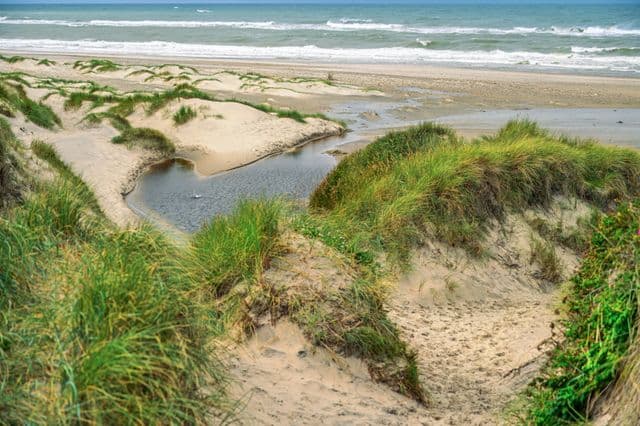 nature tourism north padre pxls (1)